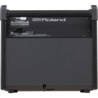 Комбопідсилювач Roland PM100 92357987278 фото