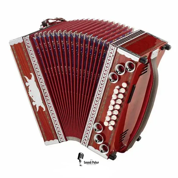 Баян Thomann Eco 4 Cherry G/C/F/Bb 04400788 фото
