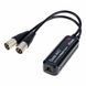 Цифровий конвертер Dante AVIO Analog Output Adapter 0x2 02500813 фото 1