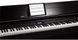 Цифрове піаніно Roland DP603 PE 04400101 фото 6