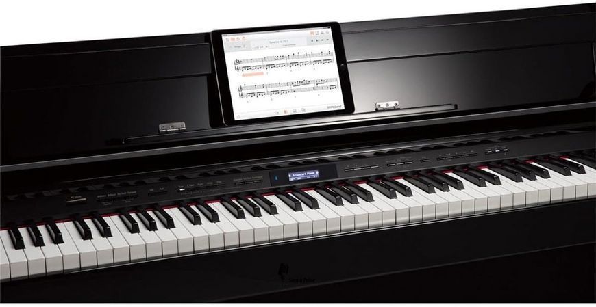 Цифрове піаніно Roland DP603 PE 04400101 фото