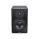 Студійний монітор Dynaudio LYD 8 Black 2202366312 фото