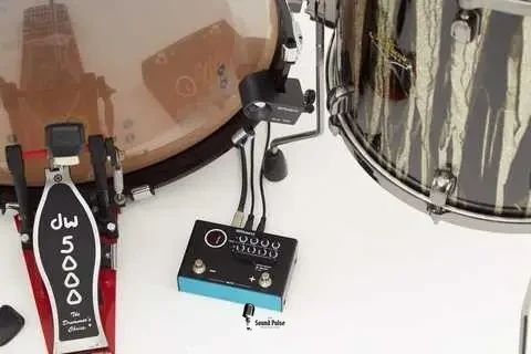 Критичний модуль Roland TM-1 2130502482 фото