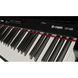 Цифрове піаніно Thomann DP-140BP UW 2186929702 фото 9