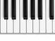 MIDI-клавіатура Alesis Q49 MKII 04400471 фото 5
