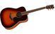 Акустична гітара Yamaha FG820 BS 2145054735 фото