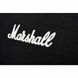 Гітарний кабінет Marshall Silver Jubilee 2536A 212 0478880996 фото 3