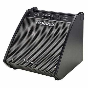 Комбопідсилювач Roland PM-200 9235798241 фото