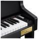 Цифрове піаніно Casio GP-310 BK 04400129 фото 7