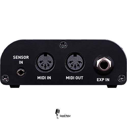 MIDI-інтерфейс Source Audio Neuro Hub v1 02500975 фото