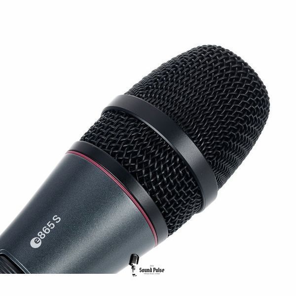 Мікрофон Sennheiser E 865-S 02500113 фото